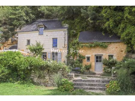 vente maison 8 pièces 245 m² à saint-epain (37800)  430 000 €