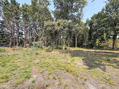 vente terrain 1606 m² à soullans (85300)  131 610 €