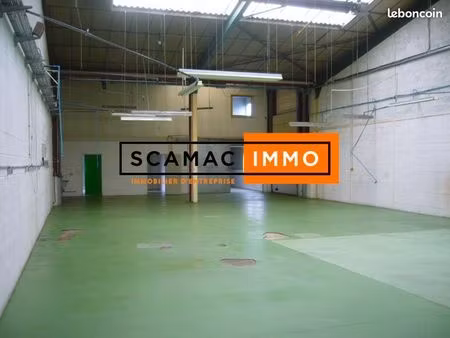 local d'activité 445 m²