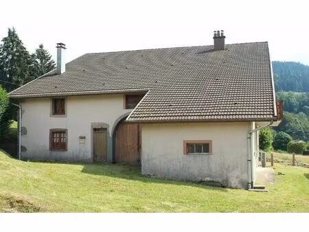 maison le syndicat m² t-9 à vendre  195 000 €