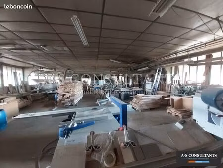 local d'activité 1 000 m²