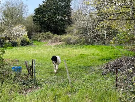 terrain 3066 m² étretat