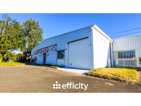 local commercial 5 pièces - 550 m²