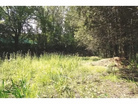 annonce terrain à vendre