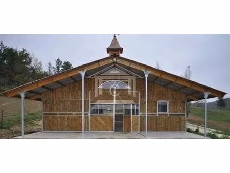 maison de luxe de 300 m2 en vente saint-urcisse  nouvelle-aquitaine