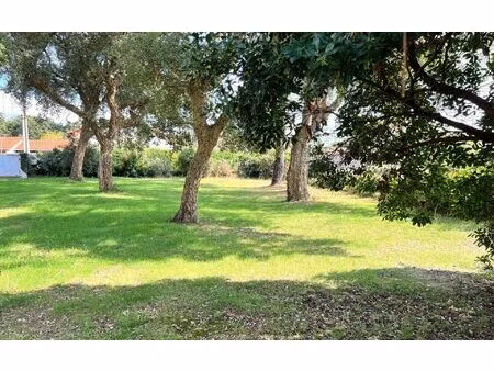terrain labenne m² t- à vendre  367 500 €
