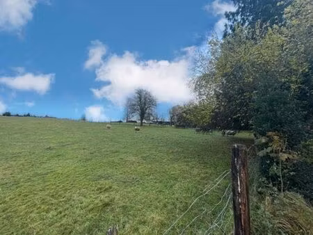 grand terrain aux portes de la vallée de la semois!