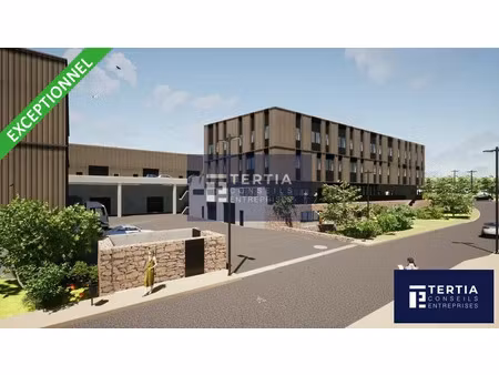 locaux d'activites a vendre