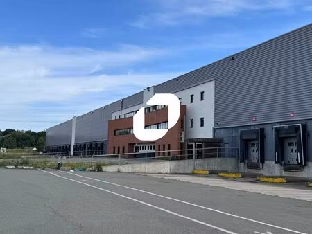 annonce location local industriel hénin-beaumont (62110) (immobilier professionnel) 992776