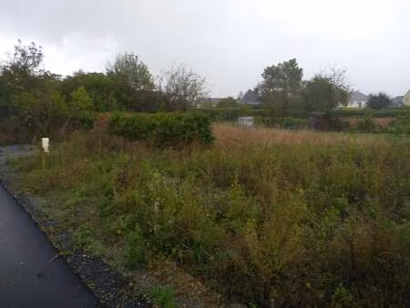 vente terrain à feneu (49460) : à vendre / feneu