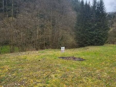 terrain à bâtir de 1286 m² en lisière de forêt