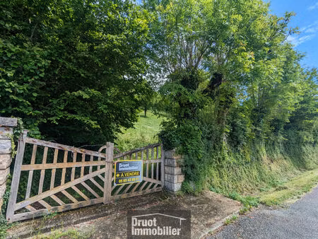 vente terrain 1645m2 saint-geniez-d'olt et d'aubrac 12130 - 74000 € - surface privée