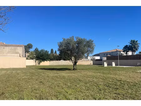 annonce terrain à vendre