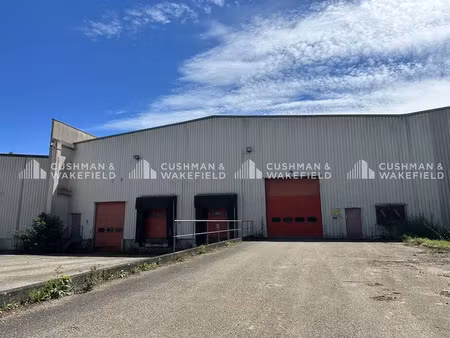 entrepôt 7122 m² (non div.) à louer (geispolsheim 67118)