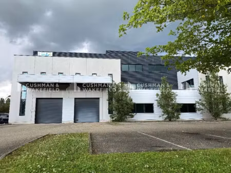 activités 379 m² (div. 134 m²) à louer (entzheim 67960)