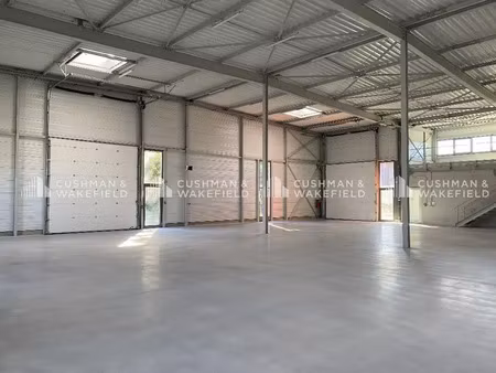 activités 368 m² (non div.) à louer (eschau 67114)