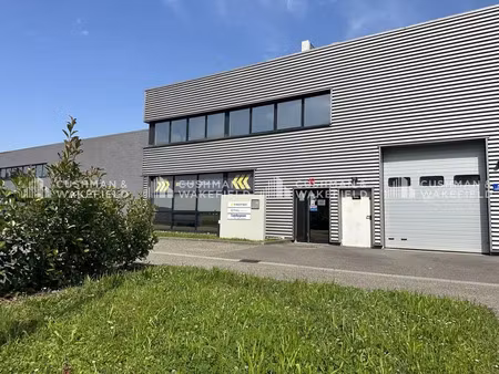 activités 605 m² (div. 285 m²) à louer (niederhausbergen 67207)