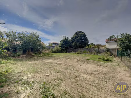 terrain