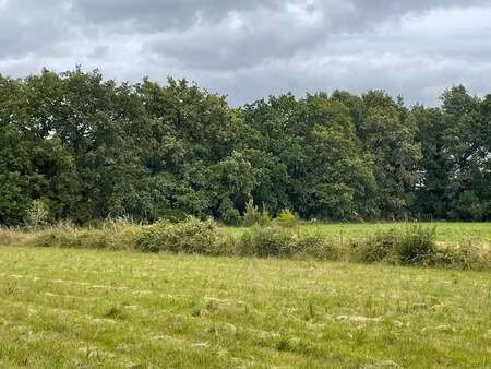 vente terrain à la roche-sur-yon (85000) : à vendre / 7753m² la roche-sur-yon