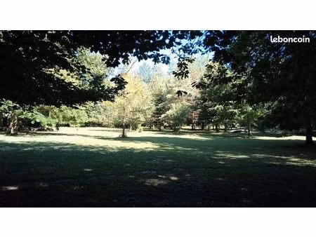 herbage avec étang pour chevaux