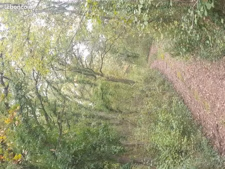 terre et bois de-taillis non constructible