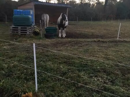 loue terrain loisir pour cheval