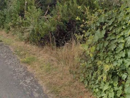 terrain à bâtir 5370m2