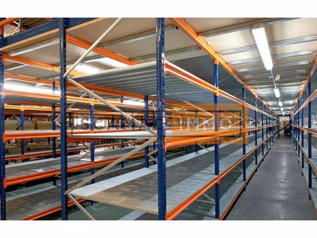 local d'activités de 500m²