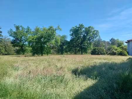 vente propriété 9 pièces 180 m² à escource (40210)  460 000 €