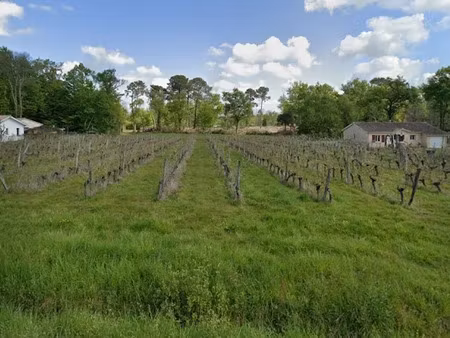 vente terrain 900 m² à sadirac (33670)  130 000 €