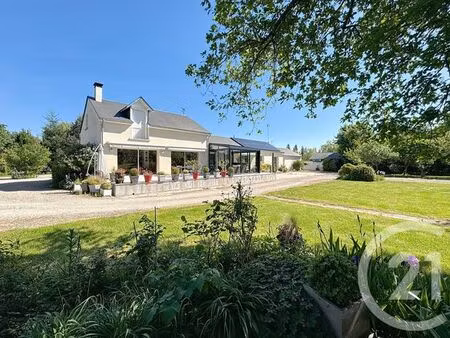 maison à vendre - 6 pièces - 231 20 m2 - la ferte st cyr - 41 - centre