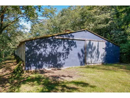 grange à vendre à terrasson-lavilledieu (24120) - dordogne