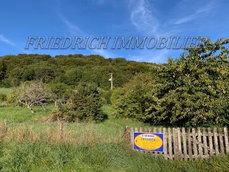 en vente terrain constructible 9 93 ares – 23 000 € |buxières-sous-les-côtes