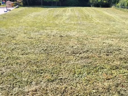 terrain constructible à miserey  10 ares