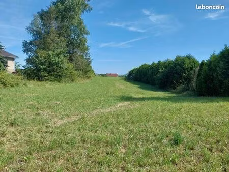 terrain 2 380 m² rohrbach les bitche