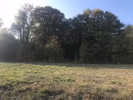 vente terrain 1684 m² à neuvy (51310)  38 000 €