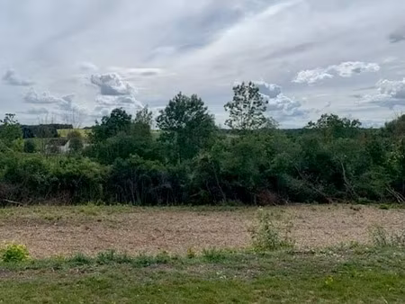 vente terrain 3395 m² à neuvy (51310)  43 000 €