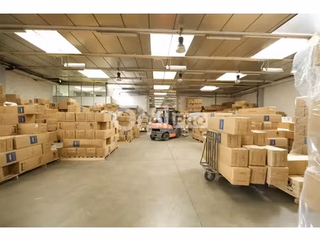 local d'activite a louer