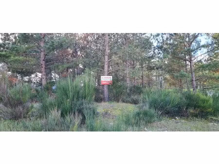 vente terrain à batir 1278 m² à casteljaloux (47700)  47 000 €