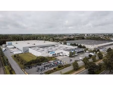 bâtiment logistique à louer à bornem