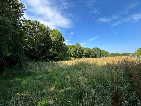 terrain lahitte toupiere 8300 m2