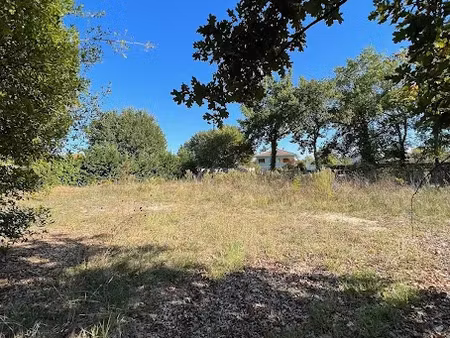 vente terrain 439 m² à andernos-les-bains (33510)  300 000 €