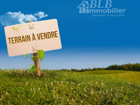 vente terrain 1000 m² chevreuse (78460)