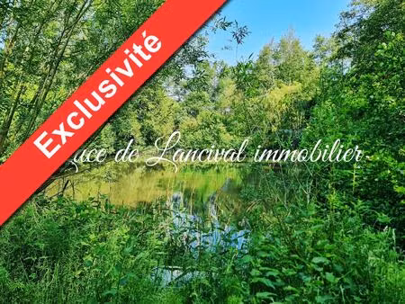 vente terrain saint-gobain (02410)