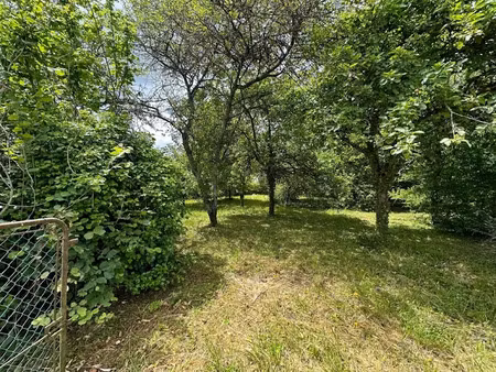 vente terrain à batir 956 m² à mont-saint-père (02400)  48 000 €