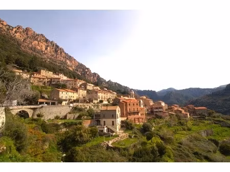 vente maison de village 12 pièces