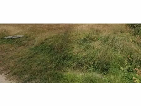 vente terrain 1279 m² à varennes-changy (45290)  27 500 €