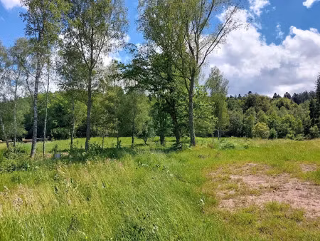vente terrain 1741 m² à saulcy-sur-meurthe (88580)  61 600 €