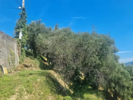 vente terrain à batir 858 m² à colomars (06670)  160 000 €