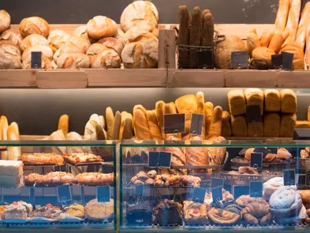 vente locaux professionnels 400 m² à morestel (38510)  242 000 €